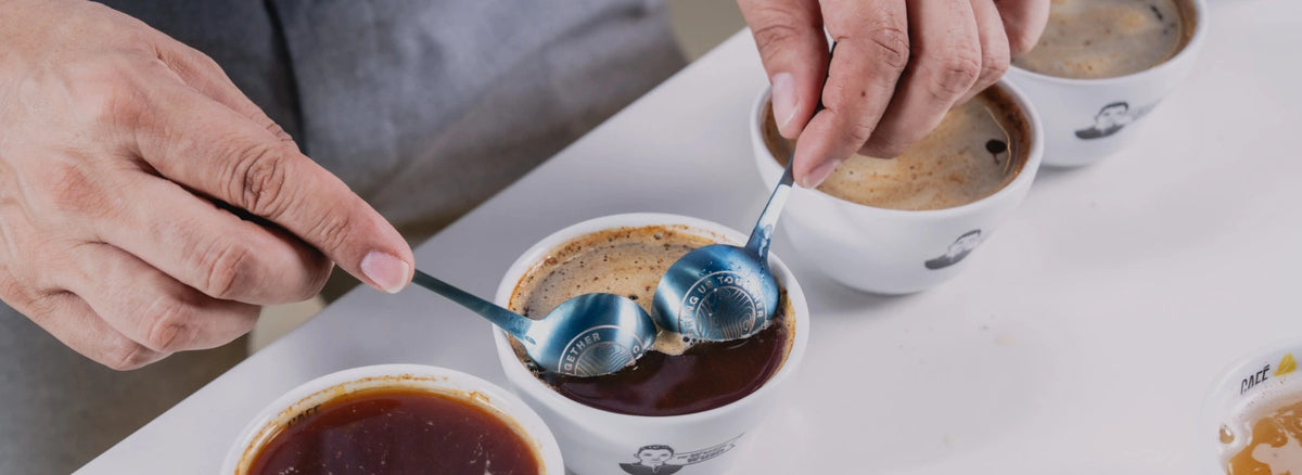 Experiencia de café en la tienda Mr. Wush Wush